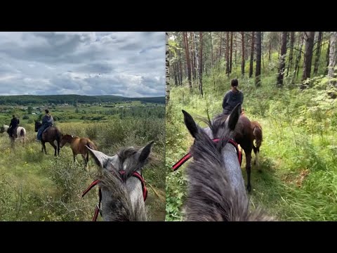 Видео: АТМОСФЕРНАЯ ПРОГУЛКА С ЮНЫМ КОННИКОМ￼