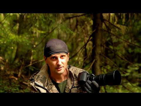 Видео: canon 70D съёмка птиц / съёмка кометы