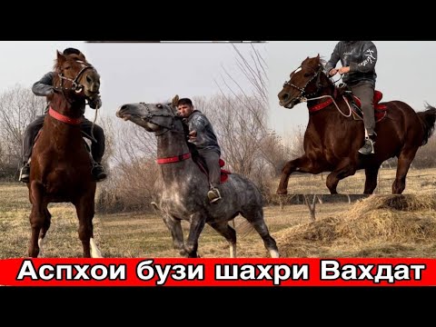 Видео: Аспхо бузи гарантия кати дар шахри Вахдат