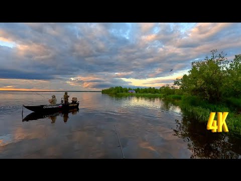 Видео: РЫБА СОШЛА С УМА В ЯМ ОЗЕРЕ, ДА! СКИТ СТАРООБРЯДЦЕВ, ИСТОРИЯ |THE FISH WENT CRAZY IN THIS LAKE