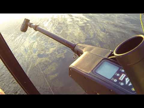 Видео: Троллинг на верхней Волге, 18 июня 2018 года, часть 2.MP4