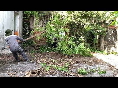 Видео: Супер бесплатная мотивация уборки для заброшенного дома нарушает город - удовлетворенные результаты