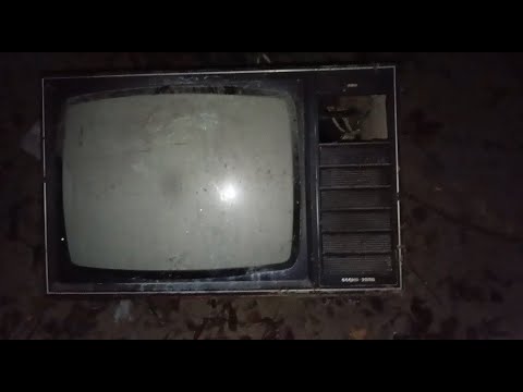 Видео: Садко 733Д (1984г.) - случайная находка у дома. Телевизор с золотом, разбор.
