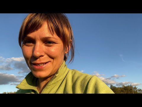 Видео: Довиставлялася були помідори і нема