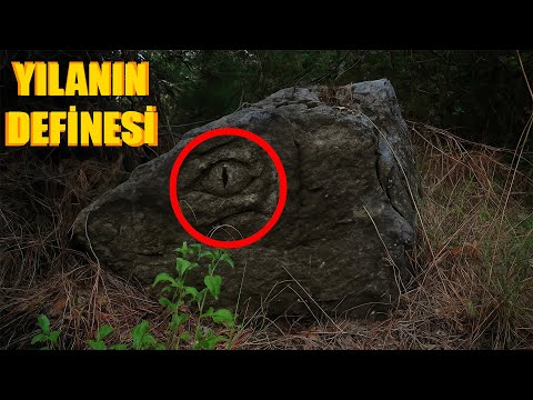 Видео: СИМВОЛ ЗМЕИ СОКРОВИЩА И СОКРОВИЩЕ НАЙДЕНО!!!