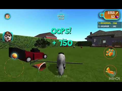 Видео: Играю с Мартином в cat simulator