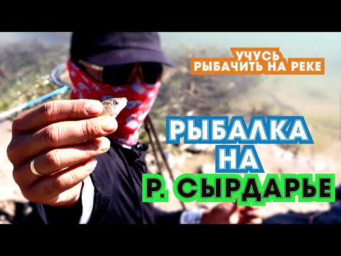 Видео: УЧУСЬ РЫБАЧИТЬ НА РЕКЕ СЫРДАРЬЯ! #фидерная ловля на реке