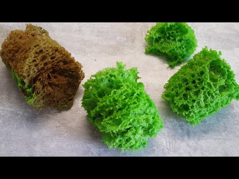 Видео: Бисквитный Мох Шикарный декор для тортов и десертов из Молекулярного бисквита