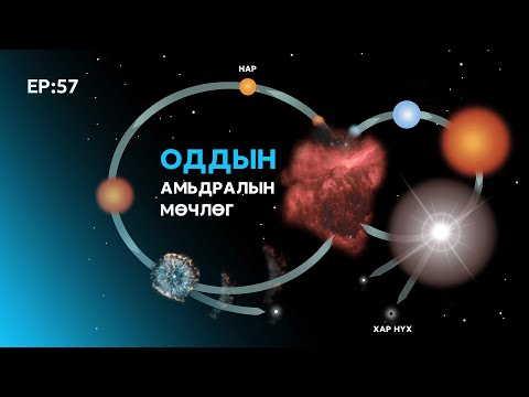 Видео: 🔍 ШУ-ны хялбаршуулсан нийтлэл Ep : 57 Оддын Амьдралын Мөчлөг | Физикийн Ухааны Доктор, Н. Тэгшбаяр