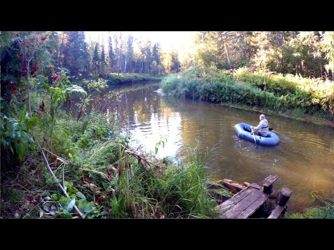 Видео: Лесная изба. Рыбалка. Готовлю щуку и таёжный напиток.