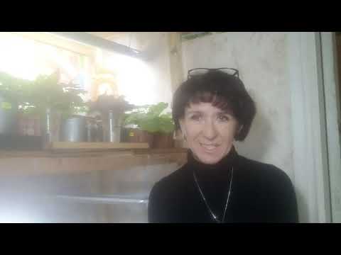 Видео: Эстафета