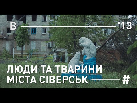 Видео: ЛЮДИ ТА ТВАРИНИ МІСТА СІВЕРСЬК