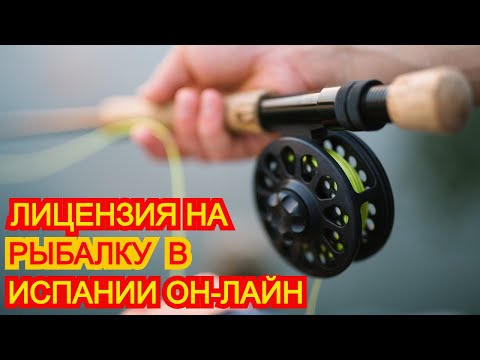 Видео: Получаем лицензию на рыбалку в Испании он лайн, оформляем прописку и уведомляем DGT о смене адреса.