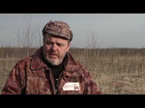 Видео: Про охоту и охотников с Валерием Кузенковым. Сезон 2. Весенняя охота на тетеревином току