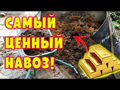 Видео: Самый ценный навоз