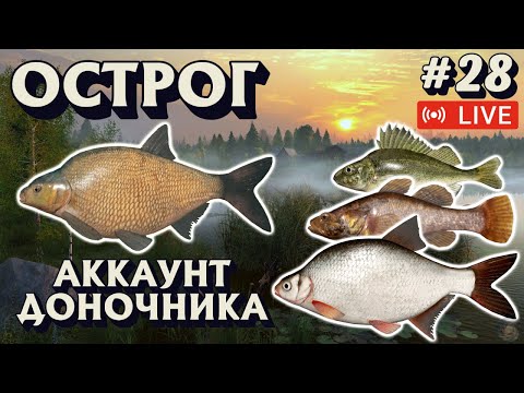 Видео: Рулетка с призами | Аккаунт доночника #28 | СТРИМ | Лещ - Острог | Русская рыбалка 4 рр4 #548