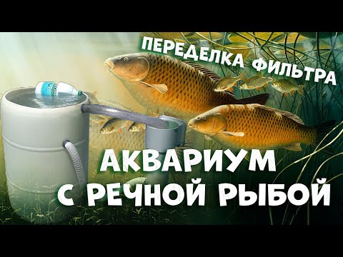 Видео: Доработка самодельного аквариумного фильтра в биотопном аквариуме
