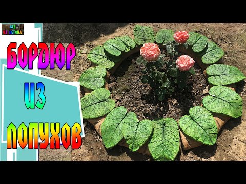 Видео: БОРДЮР ИЗ ЛОПУХОВ ИЛИ КЛУМБА ДЛЯ ЦВЕТОВ / DIY