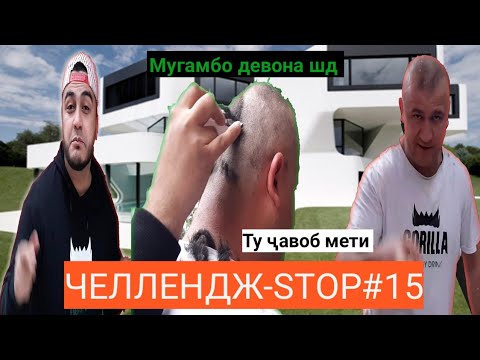 Видео: ЧЕЛЛЕНДЖ-СТОП#15 атвети Кучкар ба Мугамбо