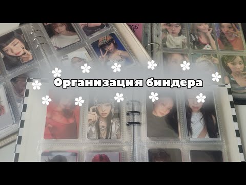 Видео: 📓Организация биндера vol. 11📓