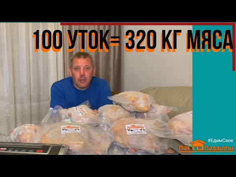 Видео: Утка СТАР-53: забой, вес тушек. ИТОГИ 2022. Выгодно ли?! "Мое Подворье"