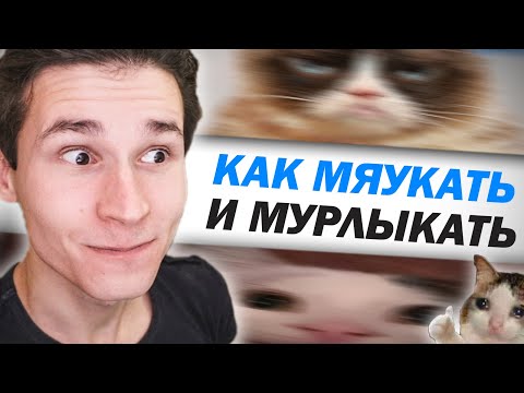 Видео: Как научиться МЯУКАТЬ, МУРЛЫКАТЬ и МУРЧАТЬ как кошка | как пародировать голоса и звуки животных. КОТ