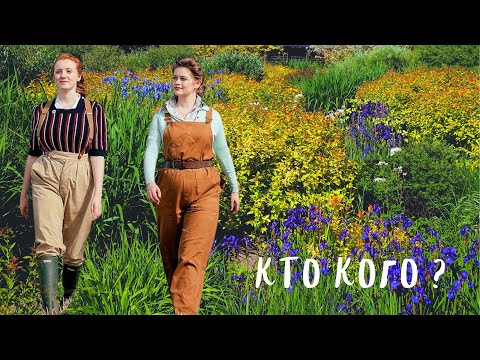 Видео: кусты и злаки
