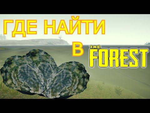 Видео: ГДЕ НАЙТИ В THE FOREST | УСТРИЦЫ