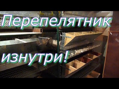 Видео: Перепелятник изнутри / Последние изменения // Жизнь в деревне