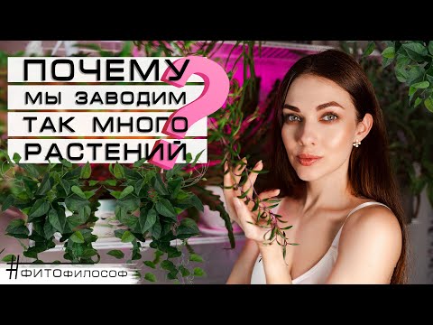 Видео: Почему мы покупаем ТАК МНОГО РАСТЕНИЙ? Психология, причины, КТО ВИНОВАТ? И что с этим делать?