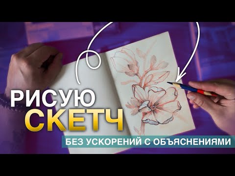 Видео: Как я рисую скетч | Полный процесс с комментариями и объяснениями #5