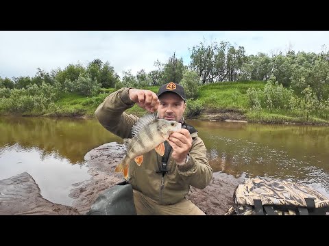 Видео: НАРВАЛСЯ НА ЗДОРОВЕННЫХ ОКУНЕЙ. РЫБАЛКА НА СПИННИНГ С ЛОДКИ МАРК 370. КЛЮЮТ ТАМ ГДЕ ВОДЫ НЕТ.