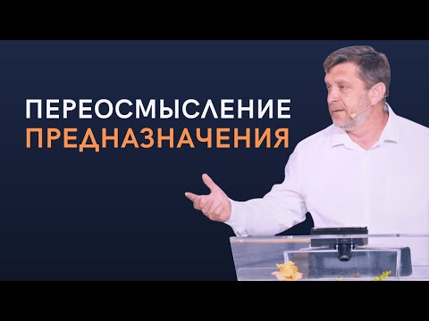 Видео: Переосмысление Предназначения — Александр Калинский