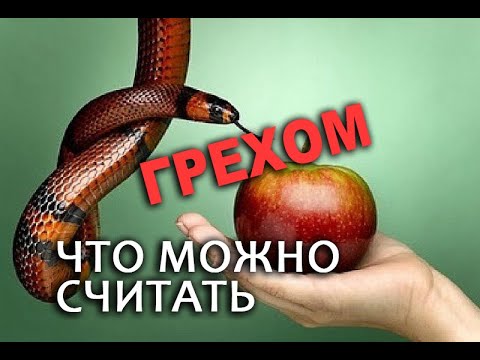 Видео: ЧТО МОЖНО СЧИТАТЬ ГРЕХОМ ?