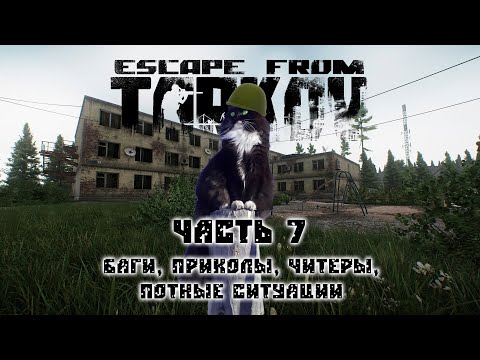 Видео: Тарков PVP - баги, приколы, читеры, забавные ситуации. Часть 7  kindcatman