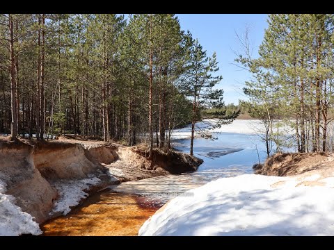 Видео: Малый лужский каньон в апреле 2022