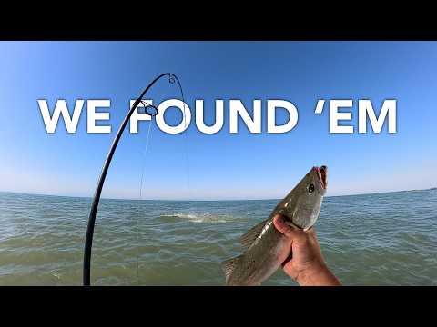 Видео: Рыбалка на баранью форель и форель с причалов | Поймай и приготовь