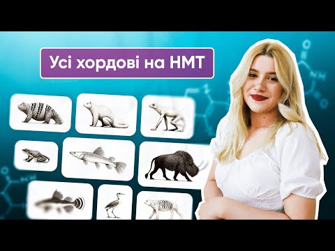 Видео: УСІ ХОРДОВІ НА НМТ  | ONLY SCHOOL  #нмт2025 #біологія