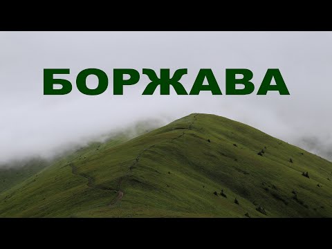 Видео: Карпати. Боржава. Похід через всю полонину Боржава з дитиною, 53км.  Міжгір'я - Воловець. РЛС Стій