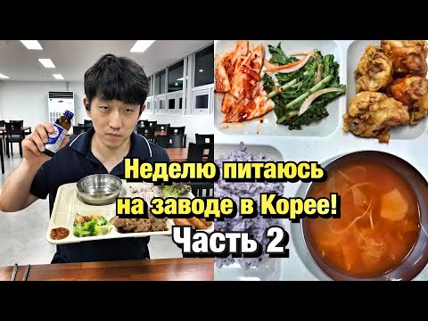Видео: НЕДЕЛЮ ЕМ ТОЛЬКО ЕДУ НА ЗАВОДЕ! ЧЕМ КОРМЯТ НА ЗАВОДЕ В КОРЕЕ? НИКОЛАЙ ПО-КОРЕЙСКИ