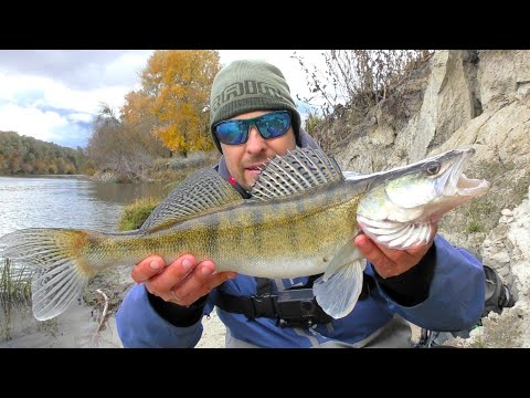 Видео: Ловлю Три Вида Хижака на Джиг. Джигові Проводки для Десни