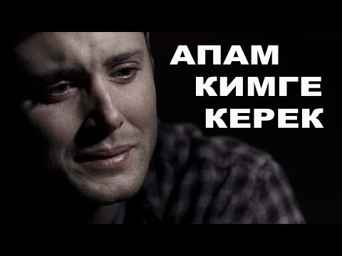 Видео: “АПАМ КИМГЕ КЕРЕК?” — Ар бир адамдын жүрөгүн ыйлаткан чыныгы окуя 💔