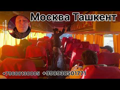 Видео: МоскВА ТашкенТ автоБус