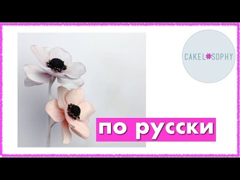 Видео: Анемон Из Мастики: МК