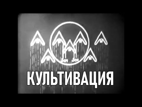 Видео: Культивация