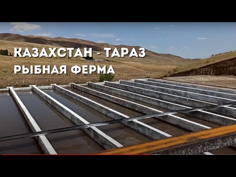 Видео: ФОРЕЛЕВАЯ ФЕРМА - Казахстан г. Тараз. Обзор