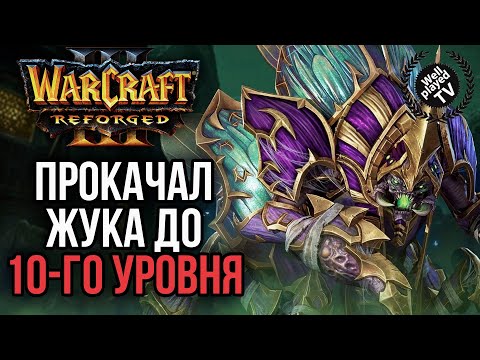 Видео: ПРОКАЧАЛ ЖУКА ДО 10-ГО УРОВНЯ: Warcraft 3 Reforged