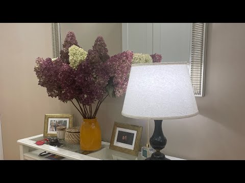 Видео: Осень на даче . Покупочки к дню осени 🍁