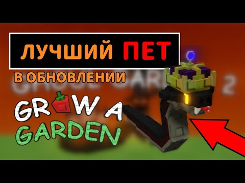Видео: ЛУЧШИЙ ПЕТ В НОВОМ ОБНОВЛЕНИИ В ГРОВ Э ГАРДЕН | ОБЗОР НОВЫХ ПЕТОВ В ВЫРАСТИ САД | GROW A GARDEN |