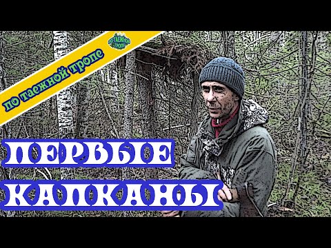 Видео: Таежный промысел в Сибири. Установка капканов на соболя по небольшому путику.